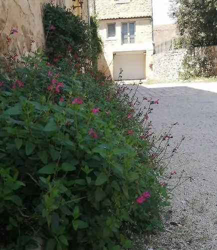 Charmante Maison Atypique A L'abri Des Regards Saint-Victor-la-Coste